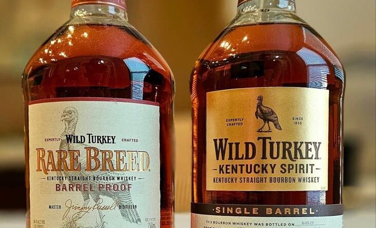 Wild turkey